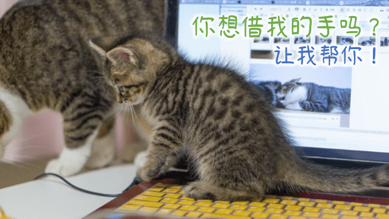 猫の手も借りたい（ねこのてもかりたい）- 日语: 关于猫的常见比喻