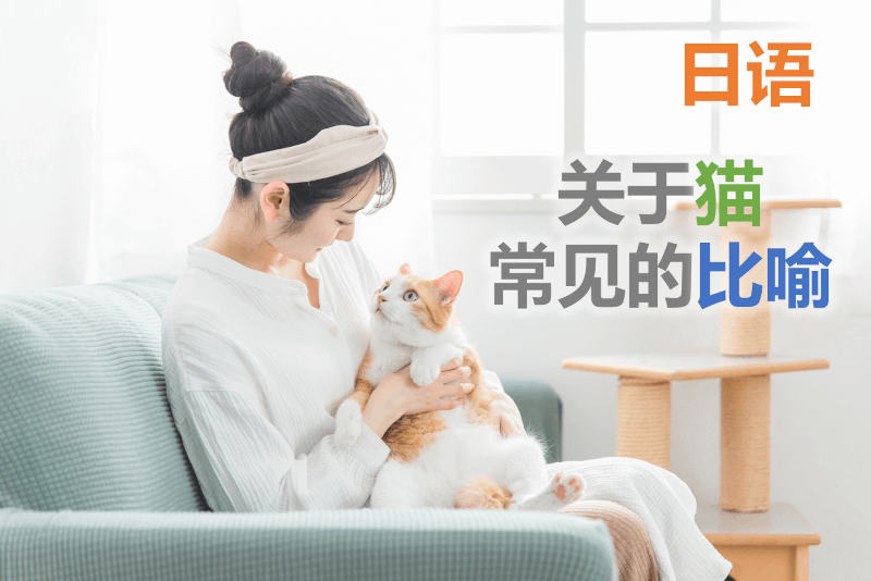 日语: 关于猫的常见比喻（猫に関する日本語の比喩・言い回しを中国語で解説）