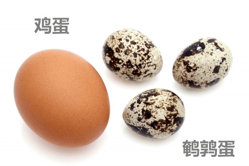 鸡蛋和鹌鹑蛋 - 日本人都吃生鸡蛋，你也敢吃生鸡蛋吗？